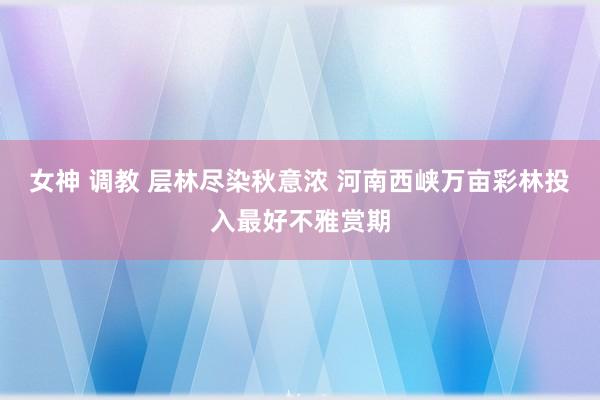 女神 调教 层林尽染秋意浓 河南西峡万亩彩林投入最好不雅赏期