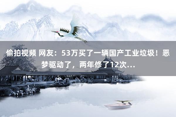 偷拍视频 网友：53万买了一辆国产工业垃圾！恶梦驱动了，两年修了12次…