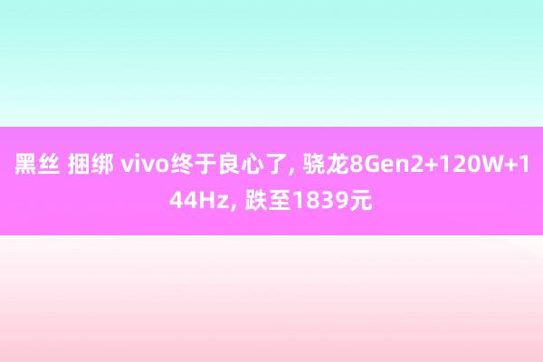 黑丝 捆绑 vivo终于良心了, 骁龙8Gen2+120W+144Hz, 跌至1839元