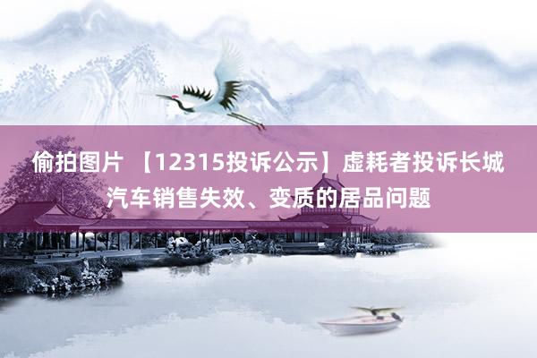 偷拍图片 【12315投诉公示】虚耗者投诉长城汽车销售失效、变质的居品问题