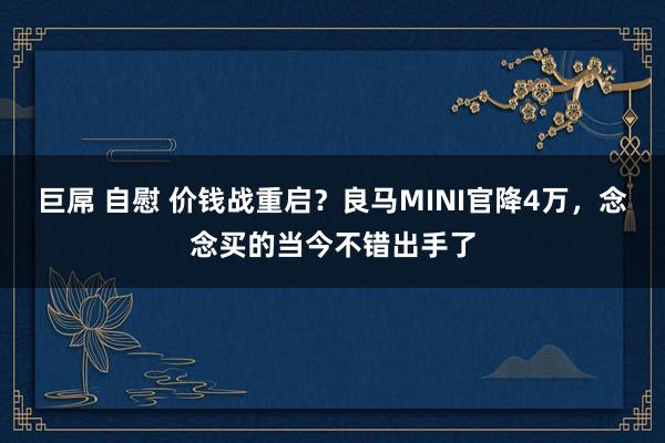 巨屌 自慰 价钱战重启？良马MINI官降4万，念念买的当今不错出手了