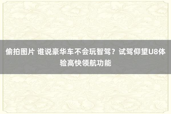 偷拍图片 谁说豪华车不会玩智驾？试驾仰望U8体验高快领航功能