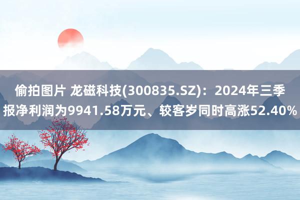 偷拍图片 龙磁科技(300835.SZ)：2024年三季报净利润为9941.58万元、较客岁同时高涨52.40%