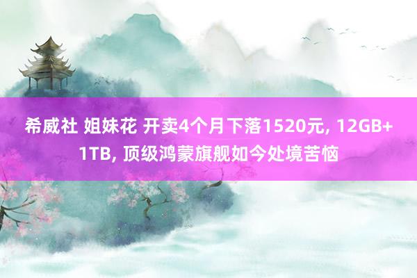 希威社 姐妹花 开卖4个月下落1520元， 12GB+1TB， 顶级鸿蒙旗舰如今处境苦恼