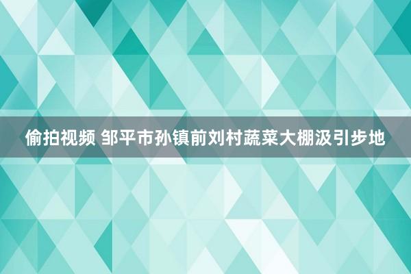 偷拍视频 邹平市孙镇前刘村蔬菜大棚汲引步地