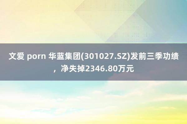 文爱 porn 华蓝集团(301027.SZ)发前三季功绩，净失掉2346.80万元