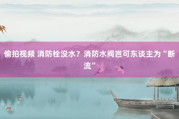 偷拍视频 消防栓没水？消防水阀岂可东谈主为“断流”