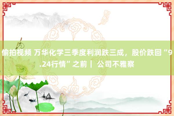 偷拍视频 万华化学三季度利润跌三成，股价跌回“9.24行情”之前｜ 公司不雅察