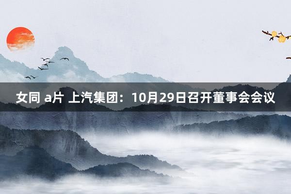 女同 a片 上汽集团：10月29日召开董事会会议