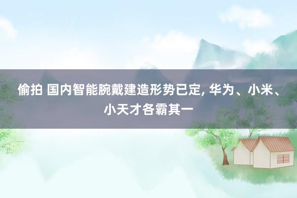 偷拍 国内智能腕戴建造形势已定, 华为、小米、小天才各霸其一