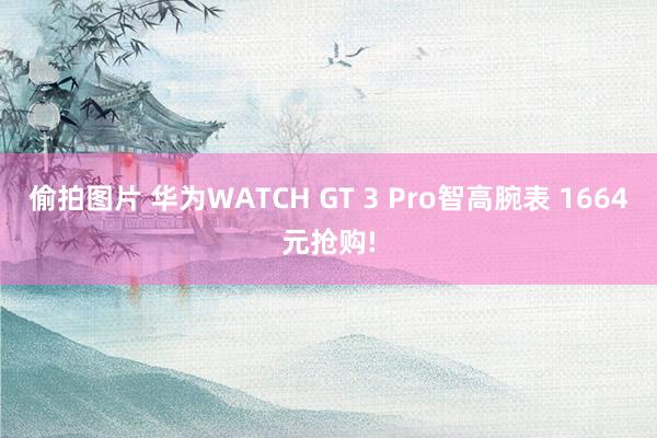 偷拍图片 华为WATCH GT 3 Pro智高腕表 1664元抢购!