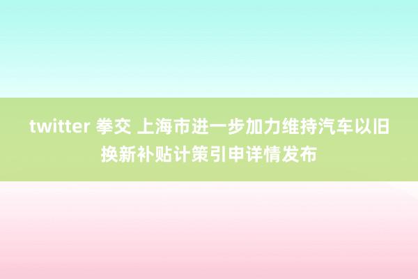 twitter 拳交 上海市进一步加力维持汽车以旧换新补贴计策引申详情发布