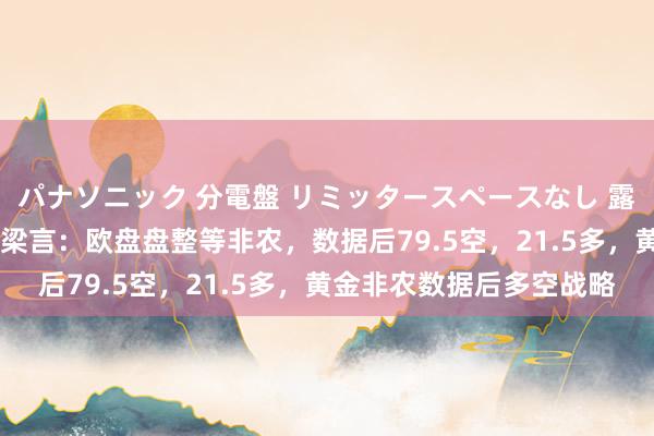 パナソニック 分電盤 リミッタースペースなし 露出・半埋込両用形 金语梁言：欧盘盘整等非农，数据后79.5空，21.5多，黄金非农数据后多空战略