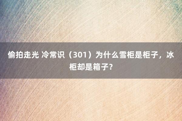 偷拍走光 冷常识（301）为什么雪柜是柜子，冰柜却是箱子？