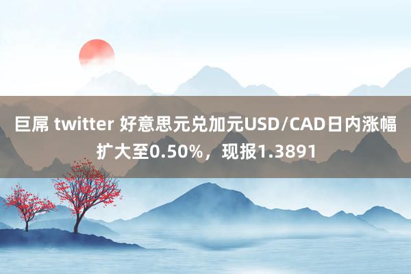 巨屌 twitter 好意思元兑加元USD/CAD日内涨幅扩大至0.50%，现报1.3891