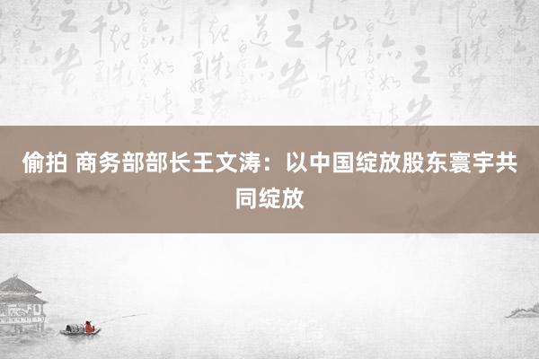 偷拍 商务部部长王文涛：以中国绽放股东寰宇共同绽放