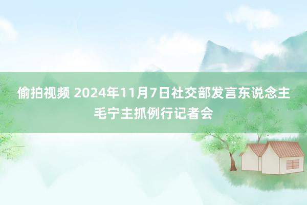 偷拍视频 2024年11月7日社交部发言东说念主毛宁主抓例行记者会