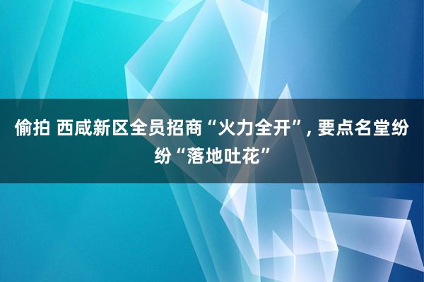 偷拍 西咸新区全员招商“火力全开”, 要点名堂纷纷“落地吐花”