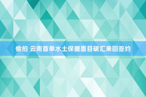 偷拍 云南首单水土保握面目碳汇来回签约