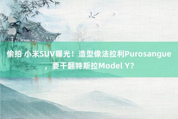 偷拍 小米SUV曝光！造型像法拉利Purosangue，要干翻特斯拉Model Y？