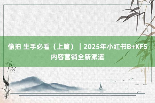 偷拍 生手必看（上篇）｜2025年小红书B+KFS内容营销全新派遣