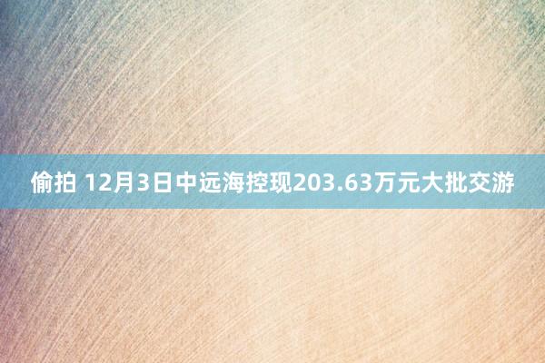 偷拍 12月3日中远海控现203.63万元大批交游