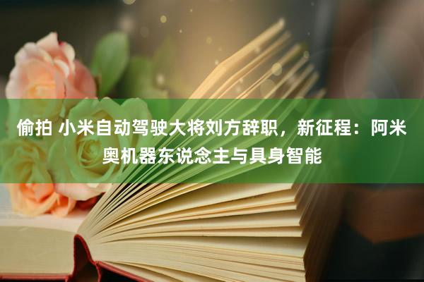 偷拍 小米自动驾驶大将刘方辞职，新征程：阿米奥机器东说念主与具身智能