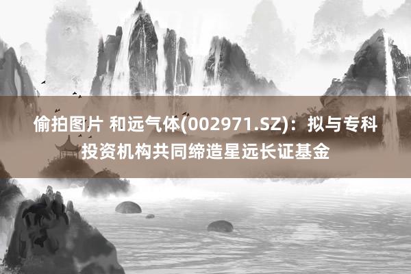 偷拍图片 和远气体(002971.SZ)：拟与专科投资机构共同缔造星远长证基金