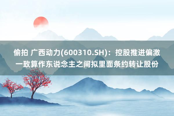 偷拍 广西动力(600310.SH)：控股推进偏激一致算作东说念主之间拟里面条约转让股份