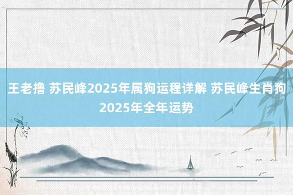 王老撸 苏民峰2025年属狗运程详解 苏民峰生肖狗2025年全年运势