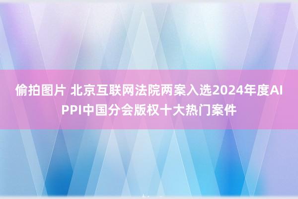 偷拍图片 北京互联网法院两案入选2024年度AIPPI中国分会版权十大热门案件