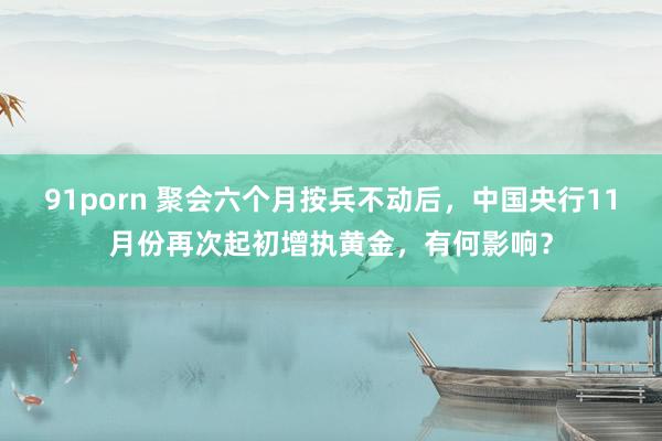 91porn 聚会六个月按兵不动后，中国央行11月份再次起初增执黄金，有何影响？