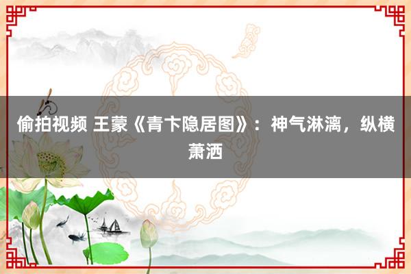 偷拍视频 王蒙《青卞隐居图》：神气淋漓，纵横萧洒