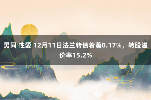 男同 性愛 12月11日法兰转债着落0.17%，转股溢价率15.2%