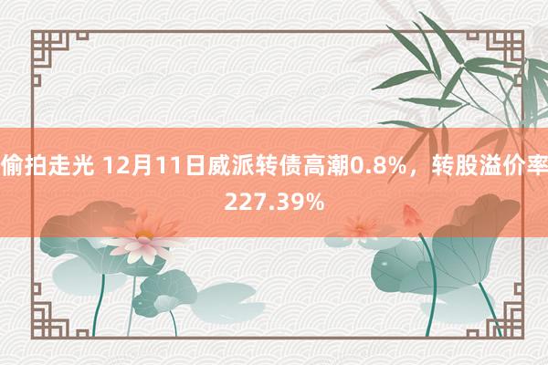 偷拍走光 12月11日威派转债高潮0.8%，转股溢价率227.39%