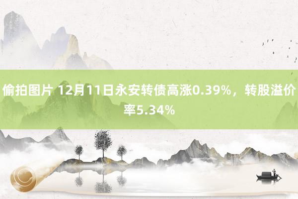 偷拍图片 12月11日永安转债高涨0.39%，转股溢价率5.34%