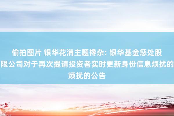 偷拍图片 银华花消主题搀杂: 银华基金惩处股份有限公司对于再次提请投资者实时更新身份信息烦扰的公告