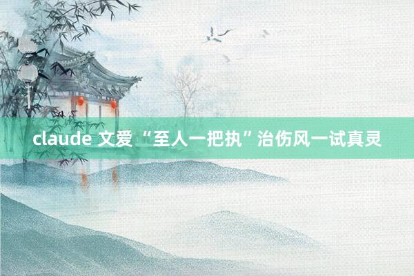 claude 文爱 “至人一把执”治伤风一试真灵