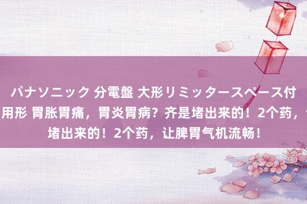 パナソニック 分電盤 大形リミッタースペース付 露出・半埋込両用形 胃胀胃痛，胃炎胃病？齐是堵出来的！2个药，让脾胃气机流畅！