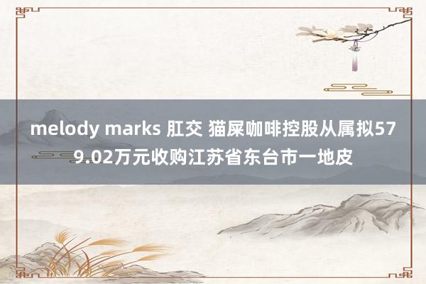 melody marks 肛交 猫屎咖啡控股从属拟579.02万元收购江苏省东台市一地皮