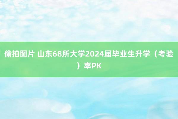 偷拍图片 山东68所大学2024届毕业生升学（考验）率PK