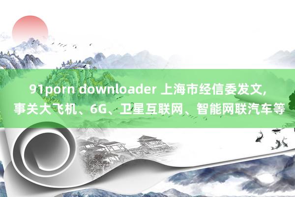 91porn downloader 上海市经信委发文， 事关大飞机、6G、卫星互联网、智能网联汽车等