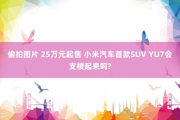 偷拍图片 25万元起售 小米汽车首款SUV YU7会支棱起来吗?