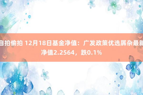 自拍偷拍 12月18日基金净值：广发政策优选羼杂最新净值2.2564，跌0.1%