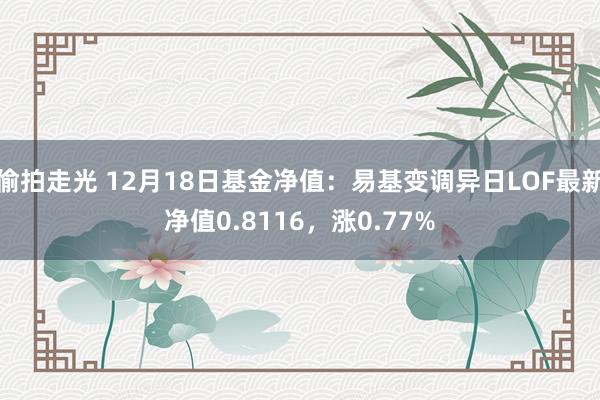 偷拍走光 12月18日基金净值：易基变调异日LOF最新净值0.8116，涨0.77%