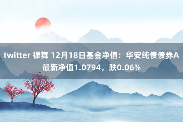 twitter 裸舞 12月18日基金净值：华安纯债债券A最新净值1.0794，跌0.06%