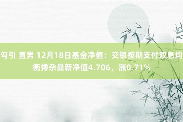 勾引 直男 12月18日基金净值：交银按期支付双息均衡搀杂最新净值4.706，涨0.71%