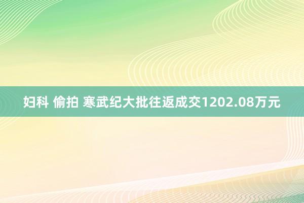 妇科 偷拍 寒武纪大批往返成交1202.08万元