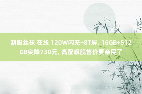 制服丝袜 在线 120W闪充+8T屏, 16GB+512GB突降730元, 高配旗舰售价更亲民了