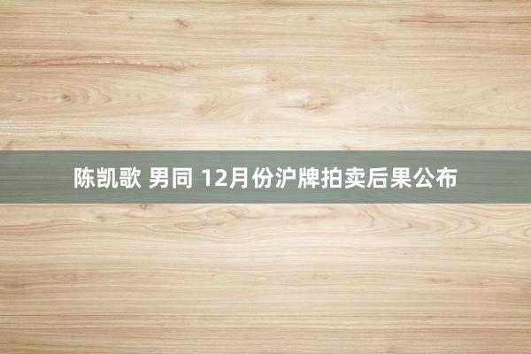 陈凯歌 男同 12月份沪牌拍卖后果公布